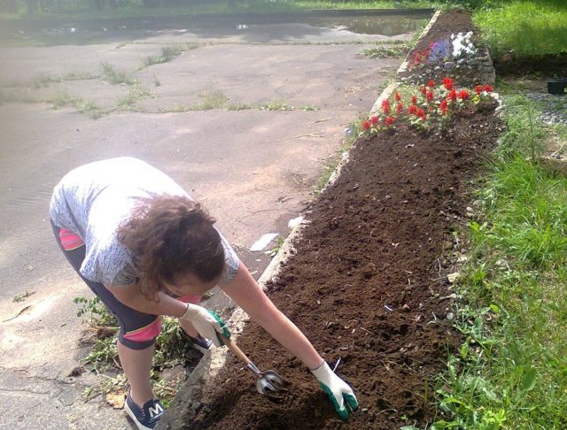 В Рыбинском районе на летний период смогут трудоустроить 120 подростков
