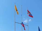 В Рыбинске выберут самых популярных спортсменов и тренеров