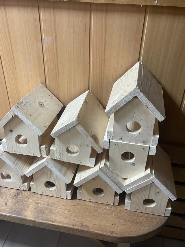 Жителей Веретья приглашают принять участие в мастер-классе по изготовлению кормушек для птиц