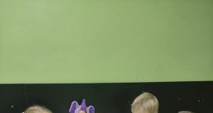 Школа раннего развития ребенка — маленький шаг в большое будущее