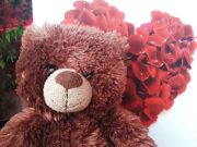 В Рыбинске продолжится серия встреч со специалистами из школы будущих мам «9 месяцев»