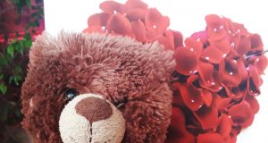 В Рыбинске продолжится серия встреч со специалистами из школы будущих мам «9 месяцев»