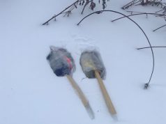У исправительной колонии №12 в Рыбинске задержали 31-летнего мужчину