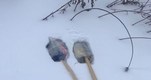 У исправительной колонии №12 в Рыбинске задержали 31-летнего мужчину