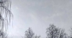 Следственный комитет заинтересовался сносом здания в Рыбинске