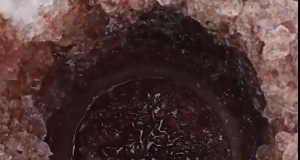 Идет проверка информации о загрязнении воды в Рыбинском водохранилище