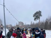 Рыбинцев приглашают изготовить кормушки