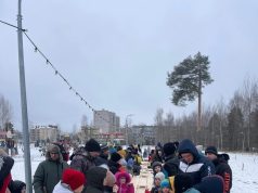 Рыбинцев приглашают изготовить кормушки