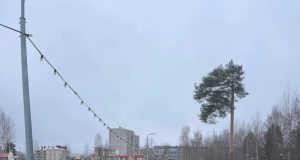 Рыбинцев приглашают изготовить кормушки