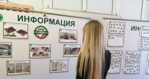 В Рыбинске школьники будут решать, как потратить 1 миллион рублей