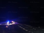 В районе дамбы ГЭС насмерть сбили лося