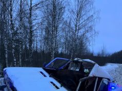 На Окружной дороге в результате ДТП погиб лось