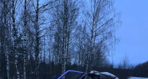 На Окружной дороге в результате ДТП погиб лось