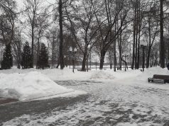 В Рыбинске ищут подрядчика на благоустройство Волжского парка