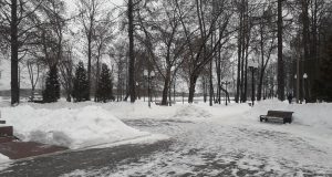 В Рыбинске ищут подрядчика на благоустройство Волжского парка