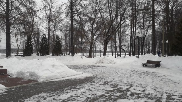 В Рыбинске ищут подрядчика на благоустройство Волжского парка