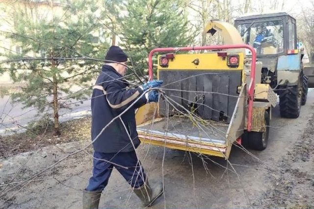 На центральных улицах Рыбинска привели в порядок деревья