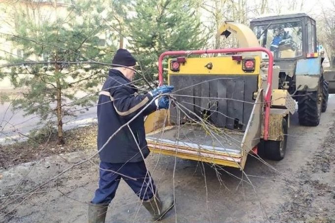 На центральных улицах Рыбинска привели в порядок деревья
