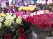 Почем цветы для милых дам?