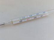 В Рыбинске ждут поколение молодых врачей