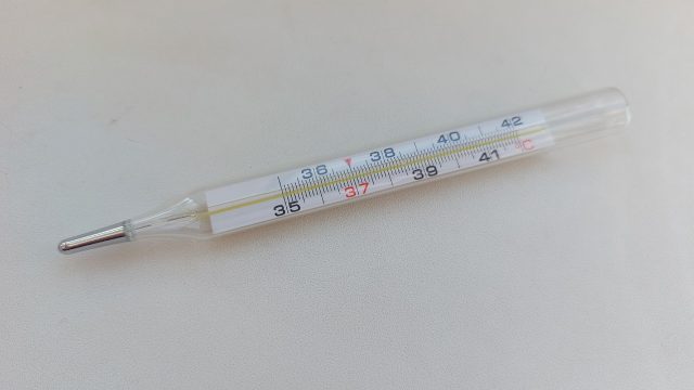 В Рыбинске ждут поколение молодых врачей