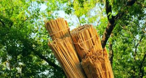 В киноклубе «Современник» покажут фильма Алексея Федорченко «Последняя «Милая Болгария»