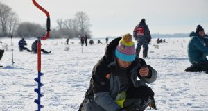 Рыбинский район претендует на звание «Самое клевое место»