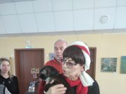 В помощь самому знаменитому коту Рыбинска