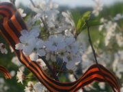 В Рыбинске ветераны Великой Отечественной войны получат единовременную выплату ко Дню Победы