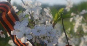 В Рыбинске ветераны Великой Отечественной войны получат единовременную выплату ко Дню Победы