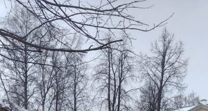 По факту сноса дома Шишова возбудили уголовное дело. В халатности обвиняют администрацию Рыбинска