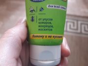 Рыбинцы, будьте бдительны! В регионе активизировались клещи