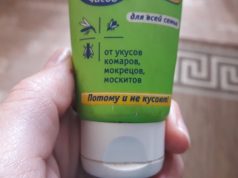 Рыбинцы, будьте бдительны! В регионе активизировались клещи