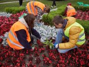 Отдых или заработок: чему отдают предпочтение рыбинские подростки летом?