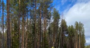 Спортивный директор спортивного праздника