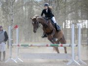 Сборная региона завоевала 40 медалей на Кубке Ярославской области по конному спорту