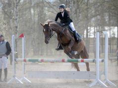 Сборная региона завоевала 40 медалей на Кубке Ярославской области по конному спорту