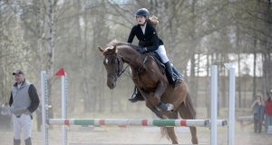 Сборная региона завоевала 40 медалей на Кубке Ярославской области по конному спорту