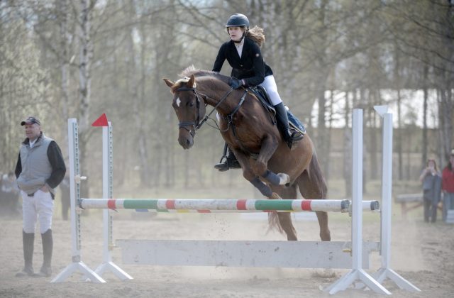 Сборная региона завоевала 40 медалей на Кубке Ярославской области по конному спорту