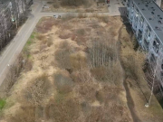 Рыбинцы активно включились в голосование по выбору территории для благоустройства