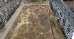 Рыбинцы активно включились в голосование по выбору территории для благоустройства