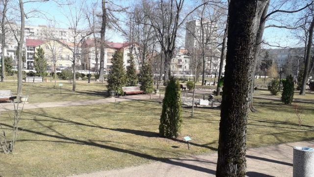 Карякинский сад откроют на этой неделе