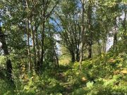 Рыбинцев приглашают на субботники на Стрелку