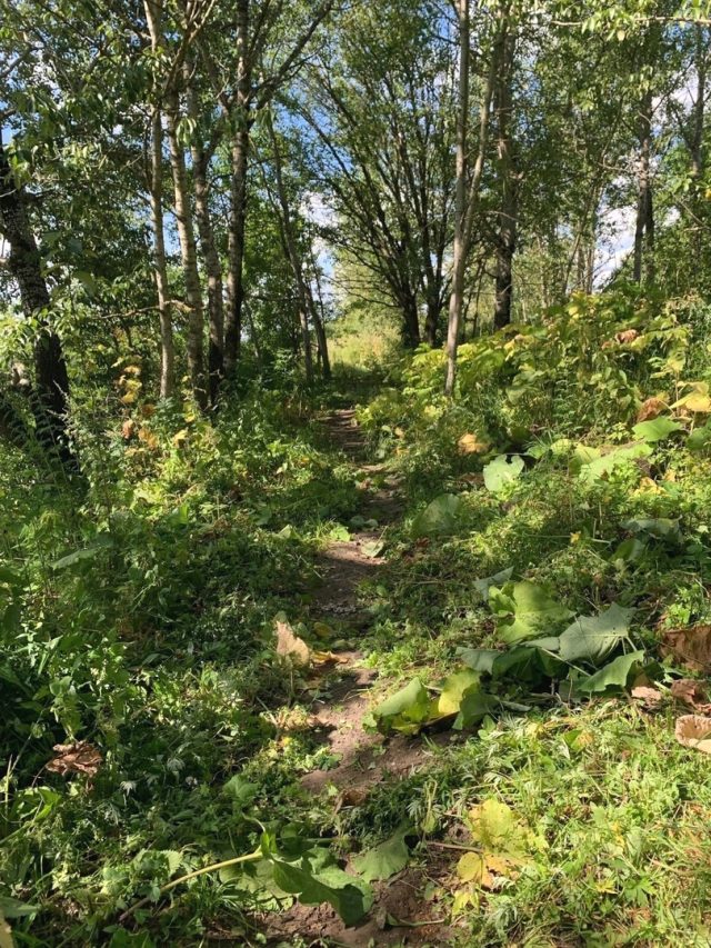 Рыбинцев приглашают на субботники на Стрелку