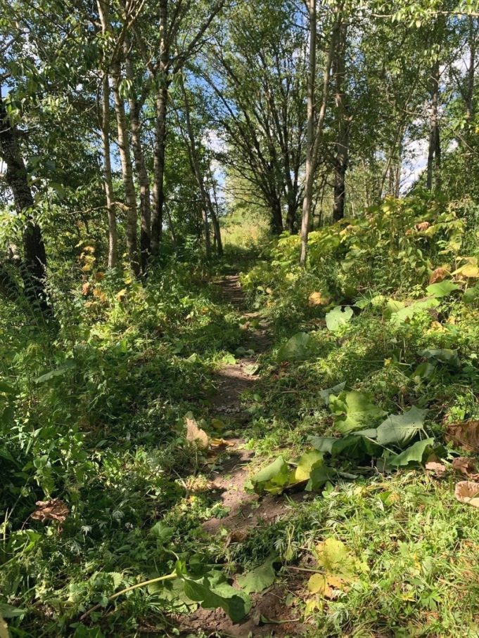 Рыбинцев приглашают на субботники на Стрелку