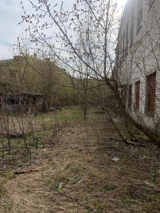 Вокруг Мариинской гимназии расчистят территорию