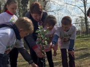 В Рыбинском районе устроят «Сады памяти»