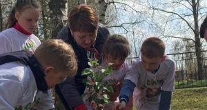 В Рыбинском районе устроят «Сады памяти»