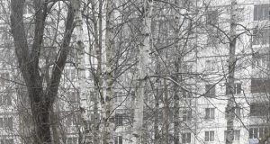 Работа УК по уборке Рыбинска во время месячника чистоты поставлена на контроль в администрации