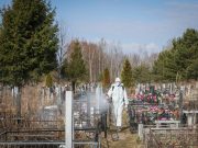 В Рыбинске началась обработке городских территорий от клещей